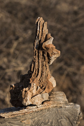 ����״��ʯ