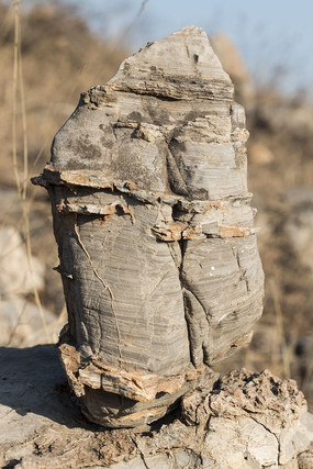 �������ʯ