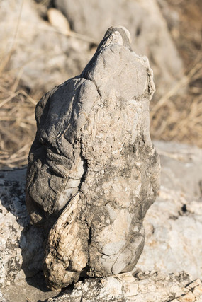 ��������ʯ