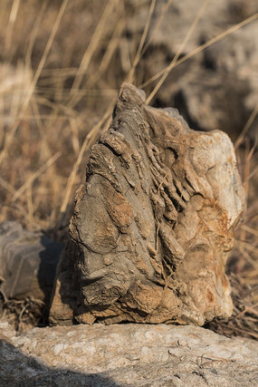 ��������ʯ