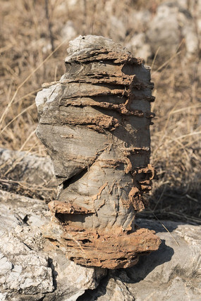 ��������ʯͷ