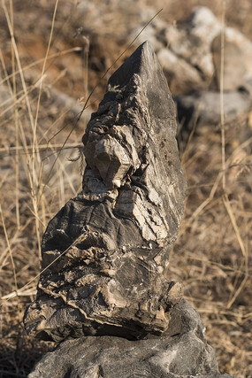 ����״��ʯ