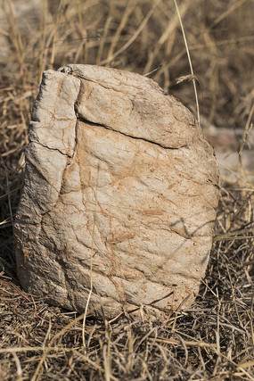 ����״��ʯ