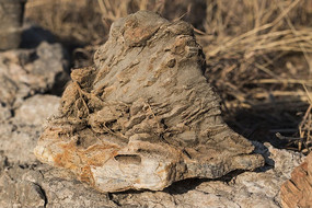 ñ������ʯ