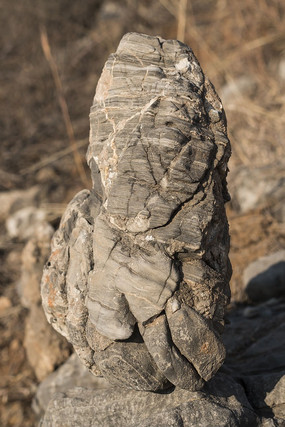 ������״��ʯ