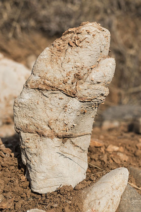 ����״��ʯ