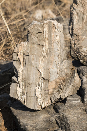 ������״��ʯ