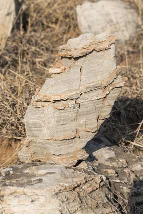 �廨����ʯ