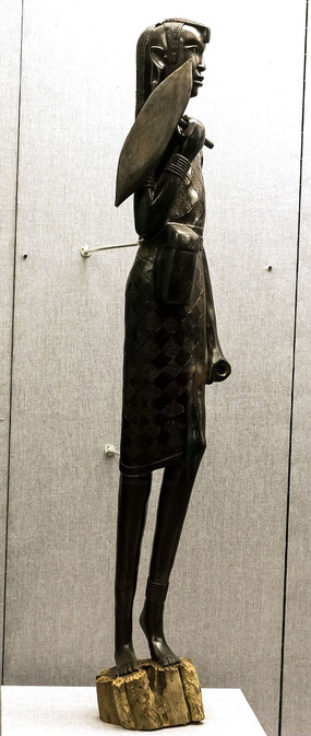 ��ľ��������