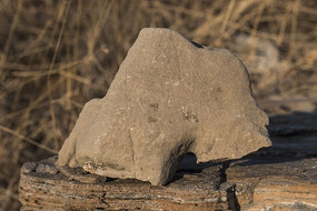 ����״��ʯ