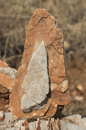 ������״��ʯ