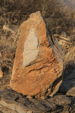 ��ľ����ľ