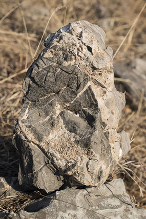 ������ʯ