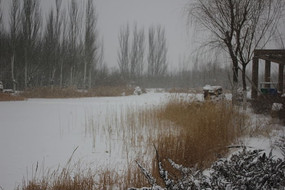 ��ѩ���ǵĺ���ͼƬ