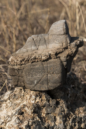 ��ñ����ʯ