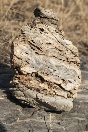 ����״��ʯ