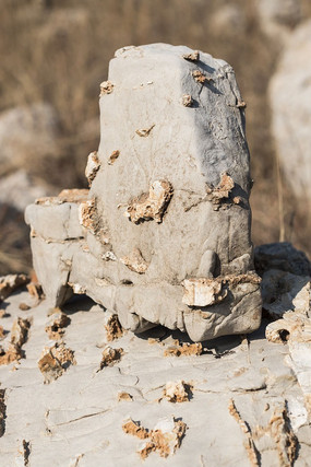 ��������ʯ