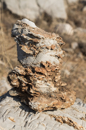 ����ٸ��ʯ