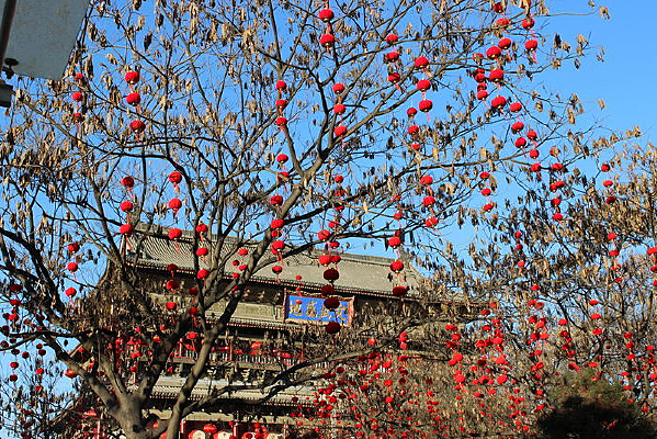 ��¥����