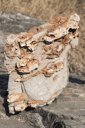 ������ʯ