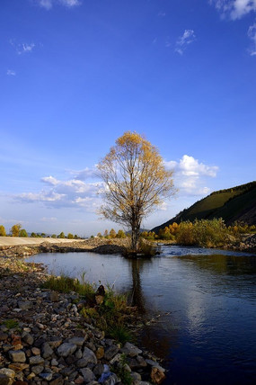 ���� ����