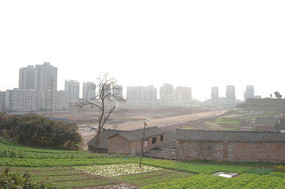 ¥����ƽ��