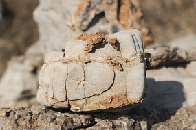 ����״��ʯ