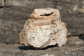 Ħ�г�״��ʯ