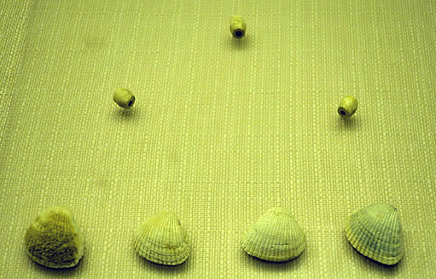 ����ͷ��