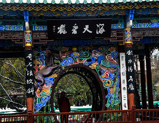 ������쿴��ͤ