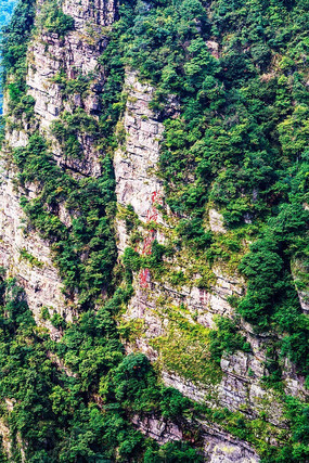 ��ɫ����