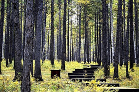 ����ľջ��