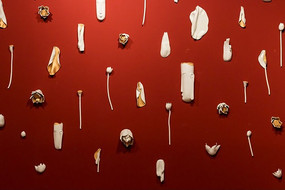 �����ֲ�ͼ����