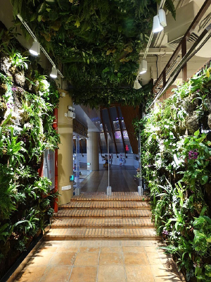 ������Ȫ�Ļ���