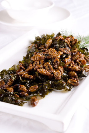 ���������Ӽ