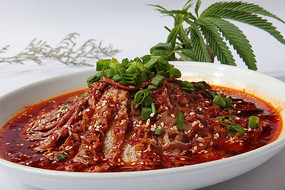 ������Ƭ