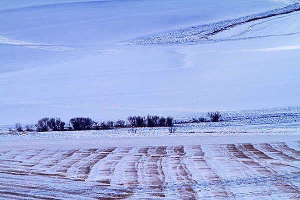 ��ѩ���ǵ�ũ��