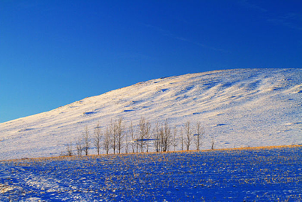 ���ױ���ѩԭ���