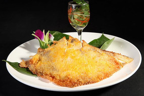 ���ƺ����