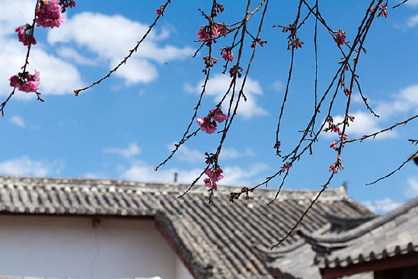 �����ųǵ�ӣ��