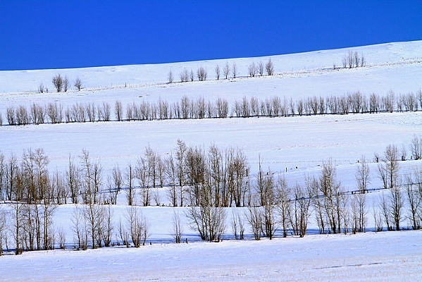 ũ������ֶ���