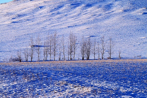 ũ��С����ѩ��