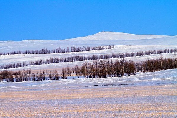 ũ��ѩ�����