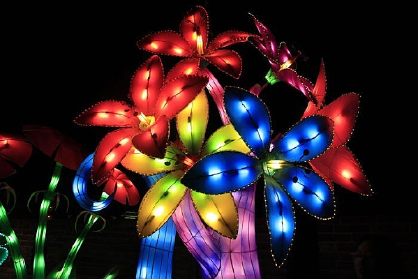 ���»���