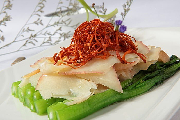 ��ݻ�����Ƭ