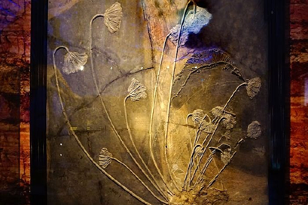 �ɻ�װ�λ�ʯ