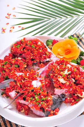 ���ƶ罷��ͷ