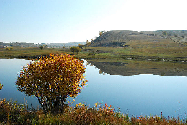 ����������