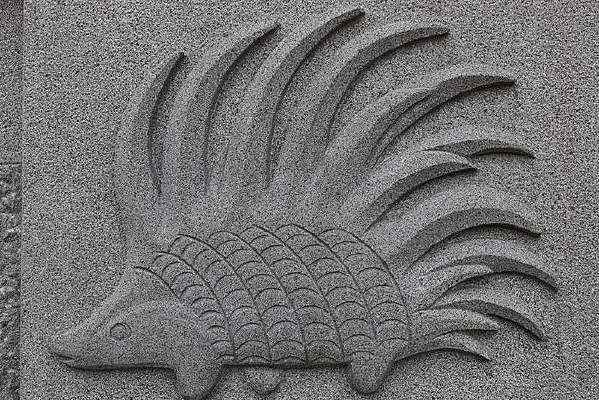 �ڿ������ֽ���