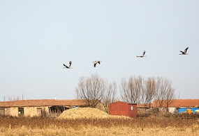 �ӵ�����